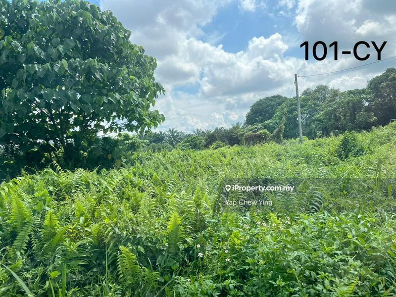 For Rent - MURAH SEWA! 2.2 Acre Land Sijangkang Telok Panglima Garang【Road Accessible & Electric Water Ready】