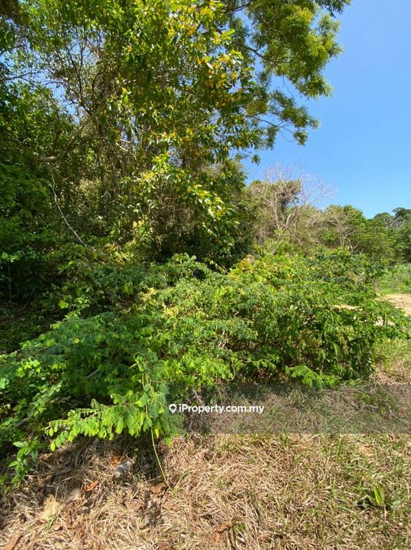 Tanah Kediaman untuk Dijual di twrls, Kuah oleh Intan Faridah - iProperty.com.my