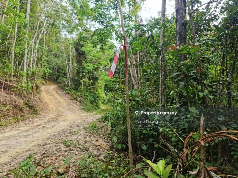 Agricultural Land for Sale in Karak, Pahang by Irene Leong - iProperty.com.my