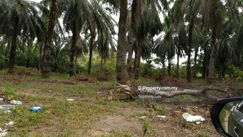 Agricultural Land for Sale in Kajang, Selangor by Teammy Lee - iProperty.com.my