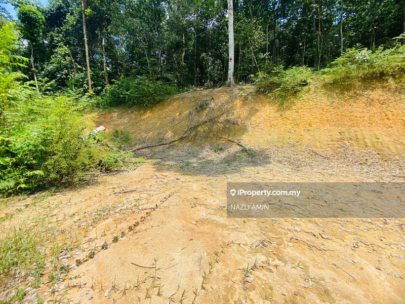 Tanah Pertanian untuk Dijual di Sungai Pening, Semenyih oleh NAZLI AMIN - iProperty.com.my