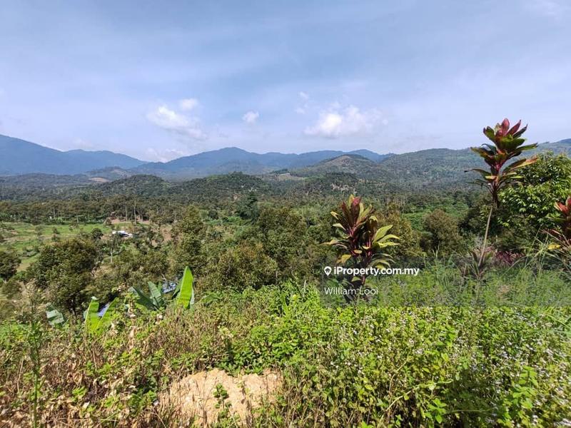 Agricultural Land for Sale in Tras, Raub by William Looi - iProperty.com.my
