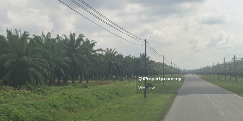 Agricultural Land for Sale in Banting, Banting by WH Low - iProperty.com.my