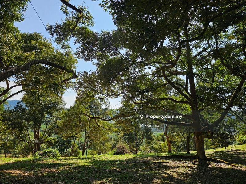 Agricultural Land for Sale in Bentong, Pahang by Mikke Yap - iProperty.com.my