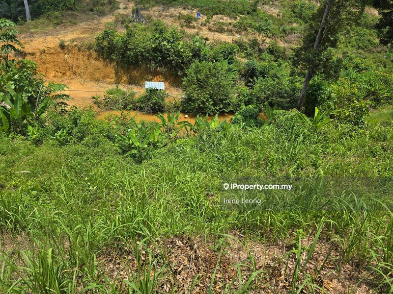 Agricultural Land for Sale in Karak, Pahang by Irene Leong - iProperty.com.my