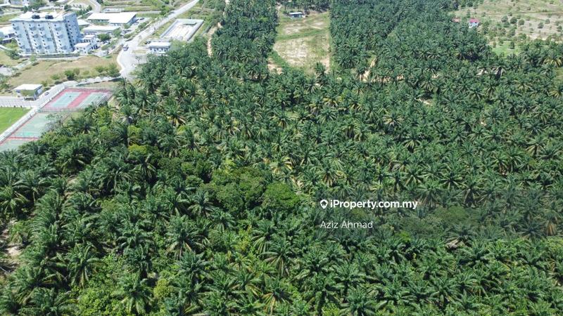 Agricultural Land for Sale in Rembau, Rembau by Aziz Ahmad - iProperty.com.my