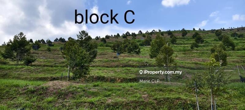 Tanah Pertanian untuk Dijual di Cameron Highlands, Pahang oleh Marie CLP - iProperty.com.my