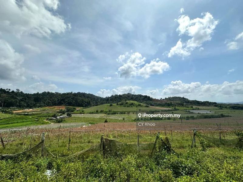 Agricultural Land for Sale in Kulai Sedenak Ayer Bemban 81000 Kelapa Sawit, Kulai by CY Khoo - iProperty.com.my