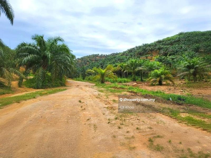 Tanah Pertanian untuk Dijual di Kelantan Gua Musang Limau Kasturi Sungai Galas, Limau Kasturi oleh CY Khoo - iProperty.com.my