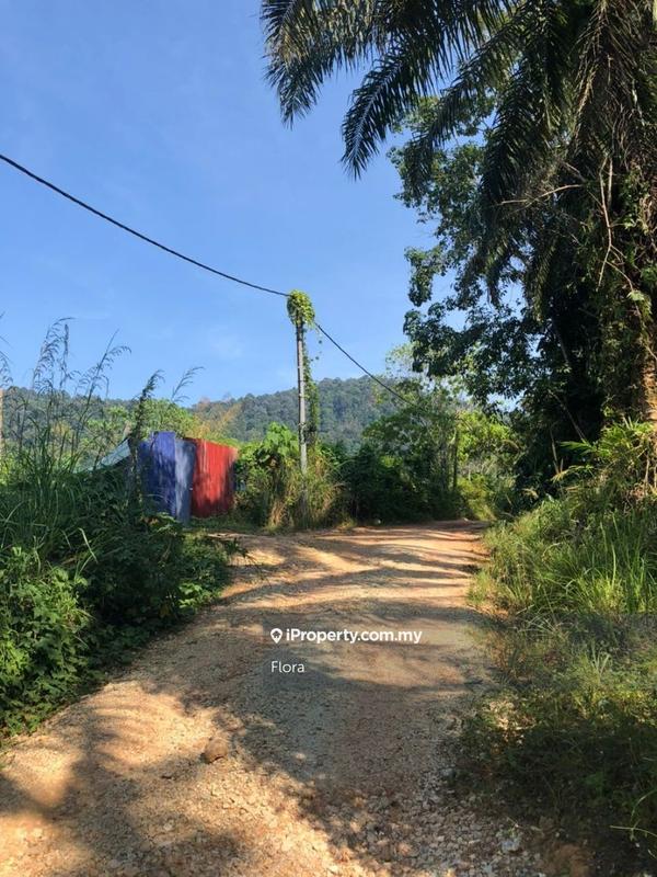 Tanah Pertanian untuk Dijual di Mukim Gali, Raub oleh Flora - iProperty.com.my