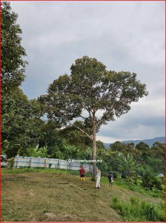 Agricultural Land for Sale in Kampung Sungai Makau, Hulu Langat by Nicholas Lee - iProperty.com.my