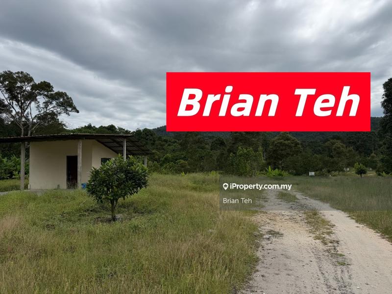 For Sale - Durian Farm Agricultural Land Sale at Balik Pulau 20 Acre Freehold With Road Access