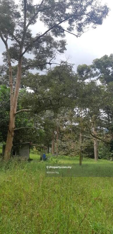Tanah Pertanian untuk Dijual di Taman Jelebu, Kuala Klawang oleh William Ng - iProperty.com.my