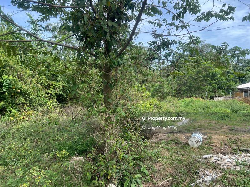 Agricultural Land for Sale in Pajam, Mantin by Chong Ming Ming - iProperty.com.my