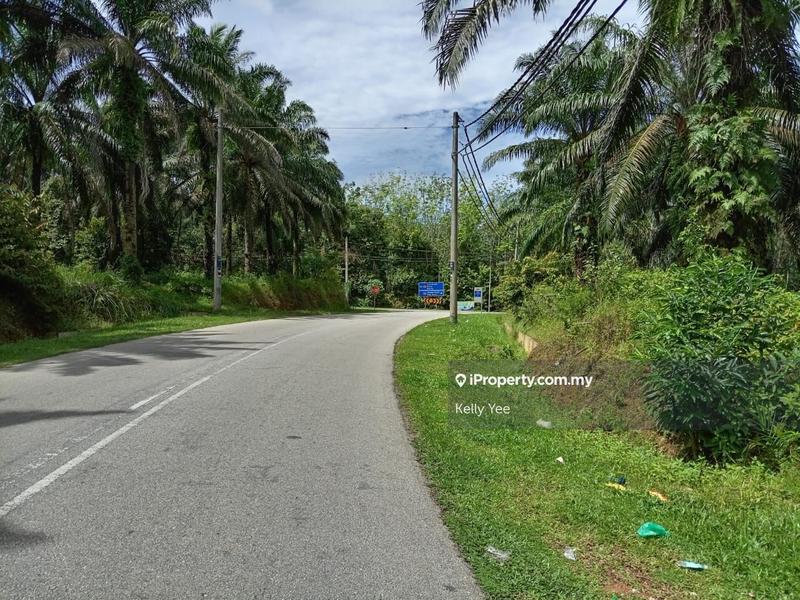Agricultural Land for Sale in Palm Oil Plantation @ Labu Besar, Kulim for Sale, Kulim by Kelly Yee - iProperty.com.my