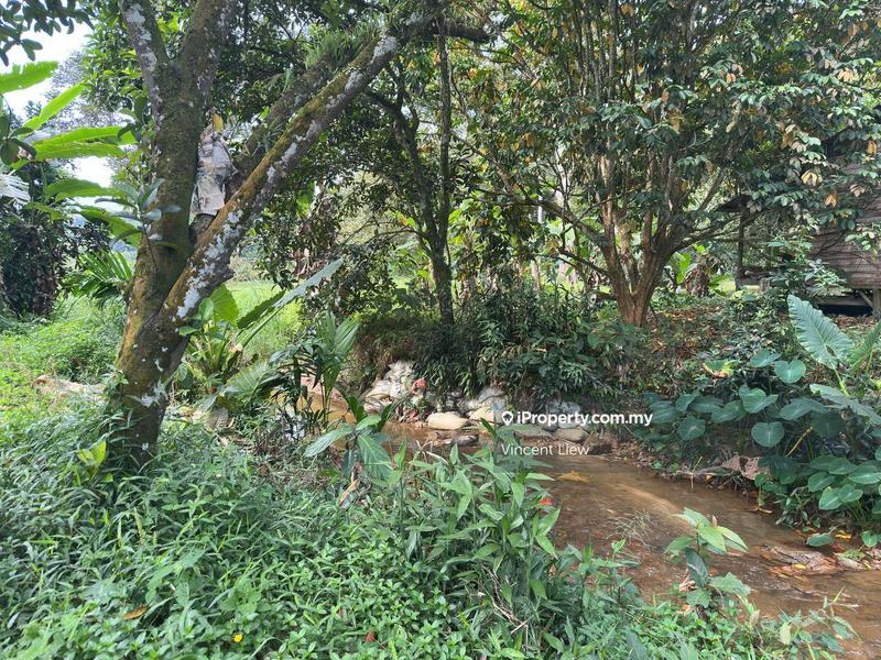Tanah Pertanian untuk Dijual di Kampung Sungai Tekali, Hulu Langat oleh Vincent Liew - iProperty.com.my