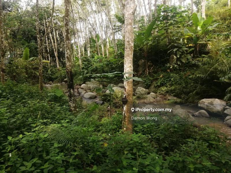 Tanah Pertanian untuk Dijual di Sungai Ruan Raub, Raub oleh Damon Wong - iProperty.com.my