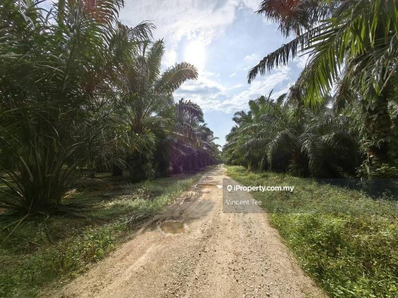 For Sale - 5 Acres Freehold Agriculture Land Jeram Kuala Selangor