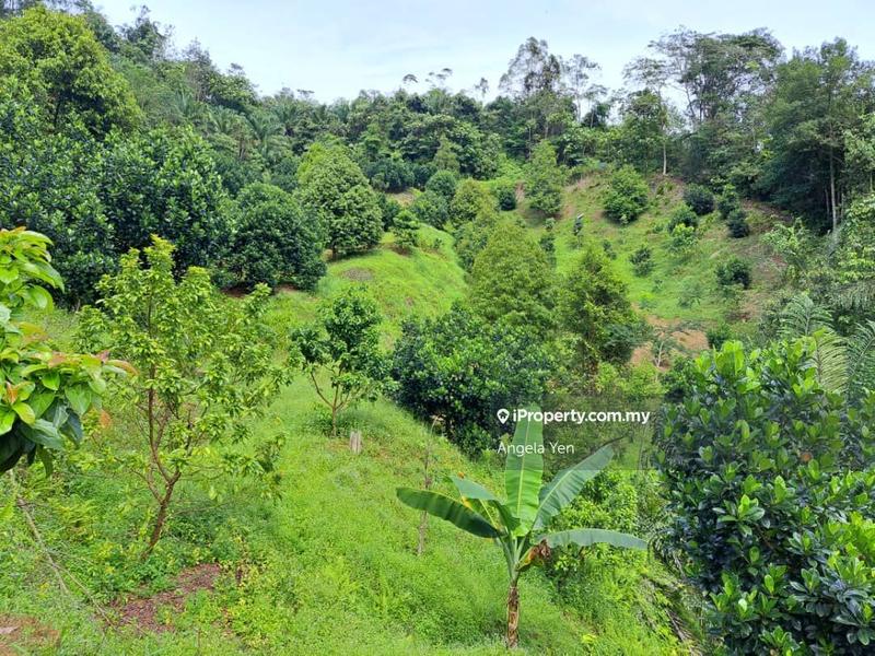 Agricultural Land for Sale in Papar, Sabah by Angela Yen - iProperty.com.my