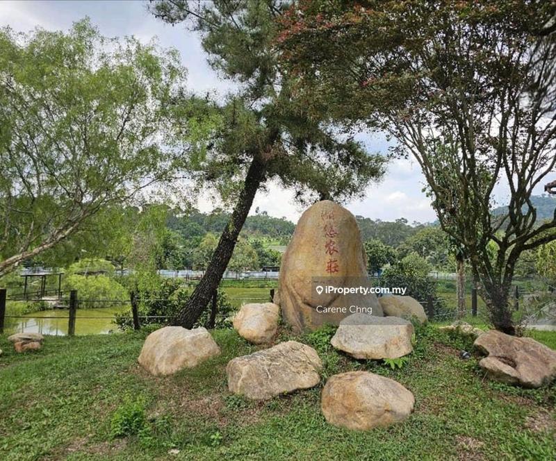 Agricultural Land for Sale in Hulu Langat, Selangor by Carene Chng - iProperty.com.my