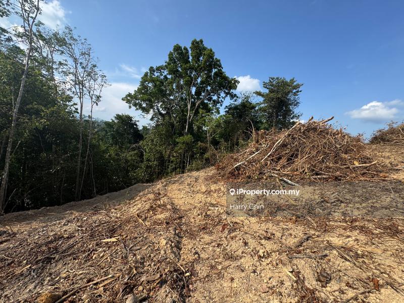 Agricultural Land for Sale in 2.2ac beside main road, Lanchang, Karak by Harry Chin - iProperty.com.my
