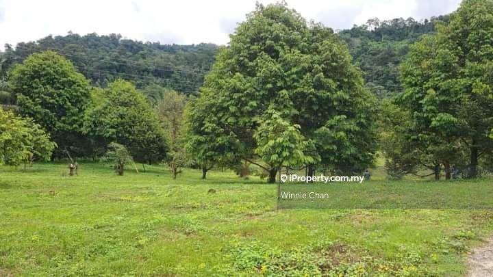Agricultural Land for Sale in Tapah Perak 550 Acres Freehold Agriculture Land, Tapah by Winnie Chan - iProperty.com.my
