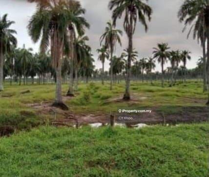 Agricultural Land for Sale in Selangor Kuala Langat Morib Banting 42700, Banting by CY Khoo - iProperty.com.my