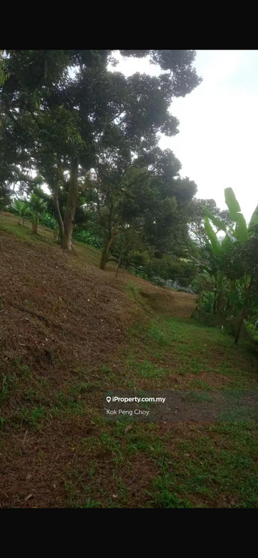 Tanah Pertanian untuk Dijual di Taman Sungkai Perdana, Sungkai oleh Kok Peng Choy - iProperty.com.my