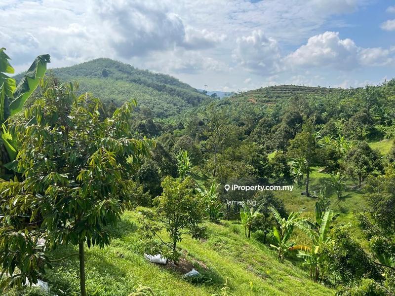 Agricultural Land for Sale in SG.GAPOI, Karak by James Ng - iProperty.com.my