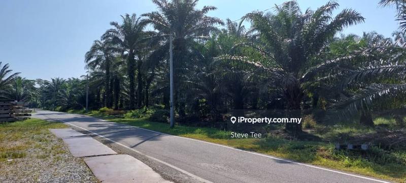 Residential Land for Sale in Bukit Cheeding, Seri Cheeding, Kuala Langat, Banting by Steve Tee - iProperty.com.my