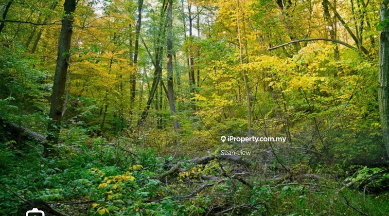 Agricultural Land for Sale in Sungai Tekali, Hulu Lagat , Selangor, Hulu Langat by Sean Liew - iProperty.com.my