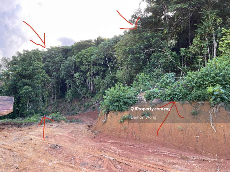 Tanah Pertanian untuk Dijual di Dong, Raub oleh Damon Wong - iProperty.com.my