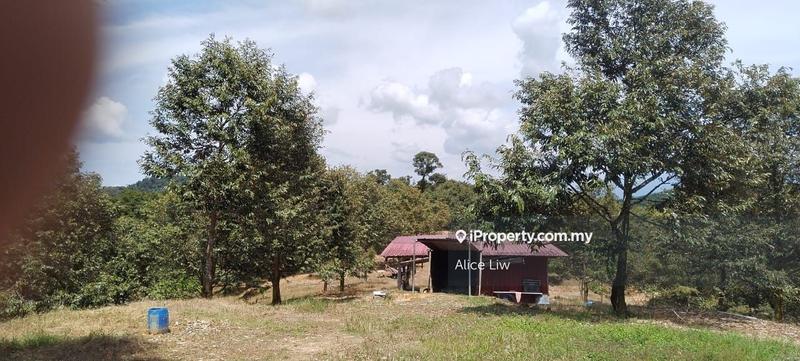Agricultural Land for Sale in Kalumpang, Rawang by Alice Liw - iProperty.com.my