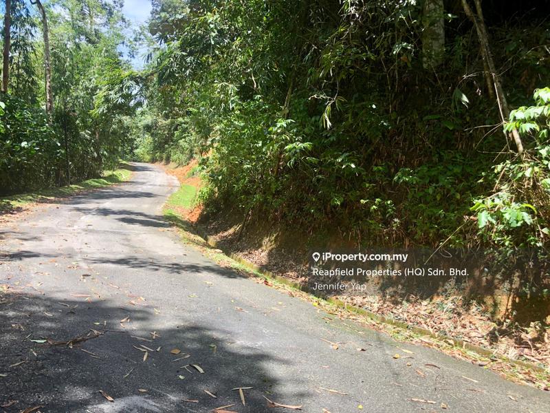 Residential Land for Sale in Janda Baik, Bentong by Jennifer Yap - On the main road, going up plot are on the right. - iProperty.com.my