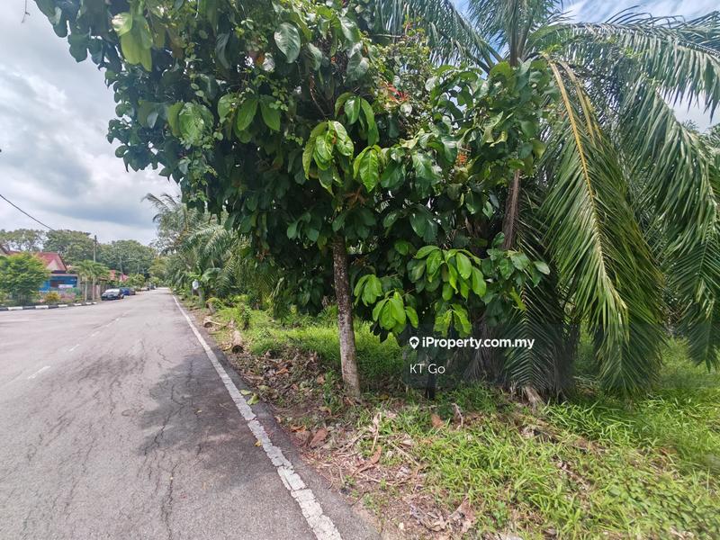 Agricultural Land for Sale in Kampung Tok Muda, Kapar by KT Go - iProperty.com.my