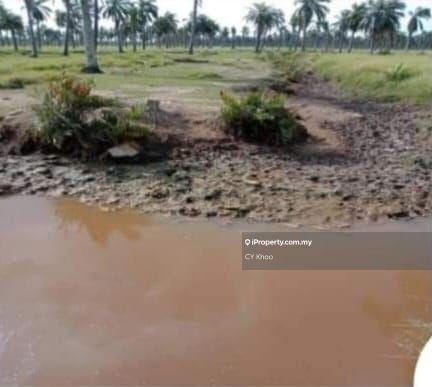 Agricultural Land for Sale in Selangor Kuala Langat Morib Banting 42700, Banting by CY Khoo - iProperty.com.my