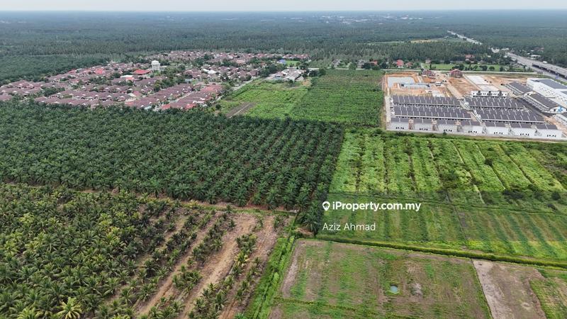Agricultural Land for Sale in 3ayxd, Sabak Bernam by Aziz Ahmad - iProperty.com.my