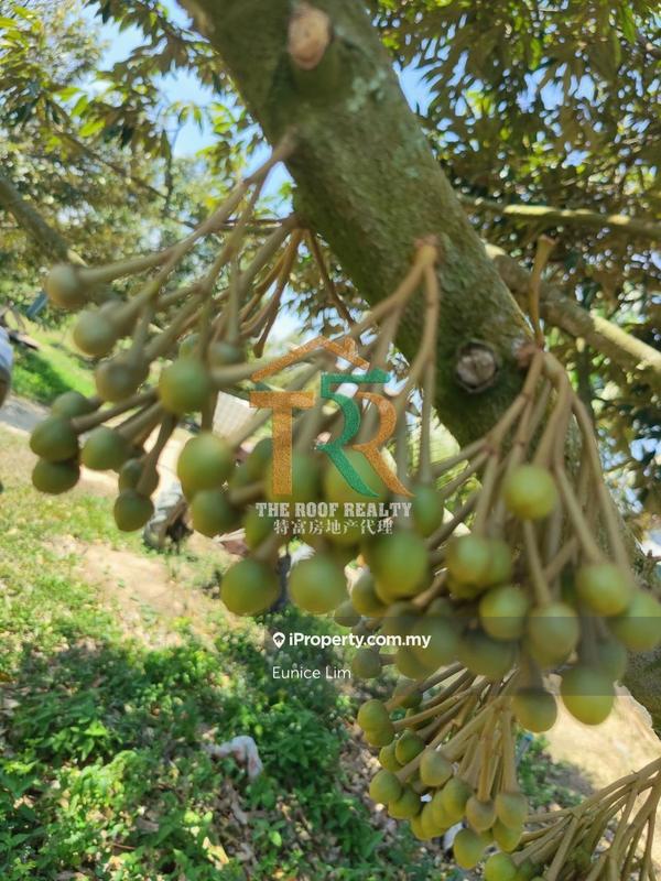 Tanah Pertanian untuk Dijual di Jasin, Jasin oleh Eunice Lim - iProperty.com.my