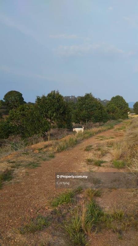 Agricultural Land for Sale in Simpang Pertang, Negeri Sembilan by C.H.Yong - iProperty.com.my