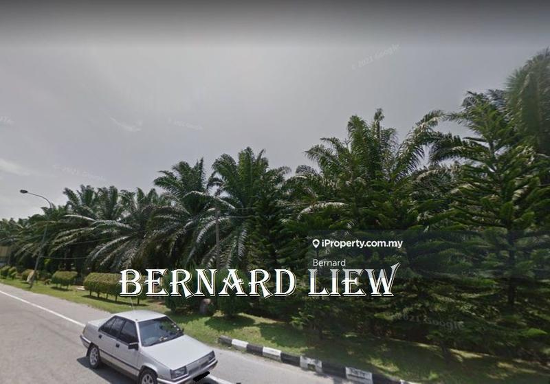 For Sale - 4.7ac Freehold Kamunting Road Frontage Oil Palm Land FOR SALE