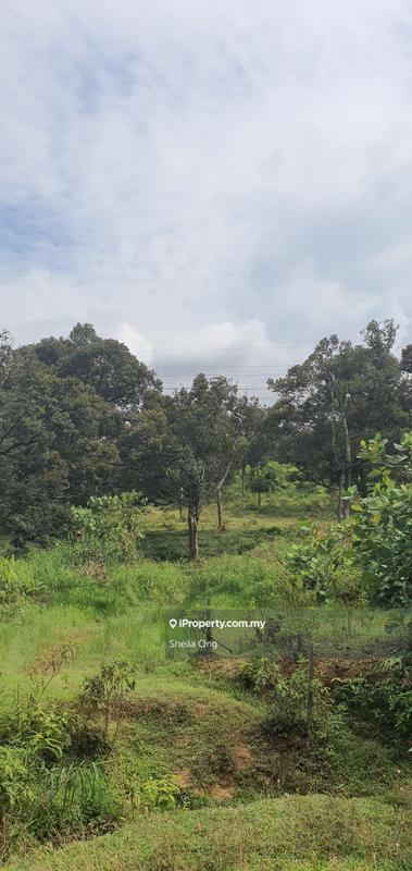 Tanah Pertanian untuk Dijual di Nilai, Negeri Sembilan oleh Sheila Ong - iProperty.com.my