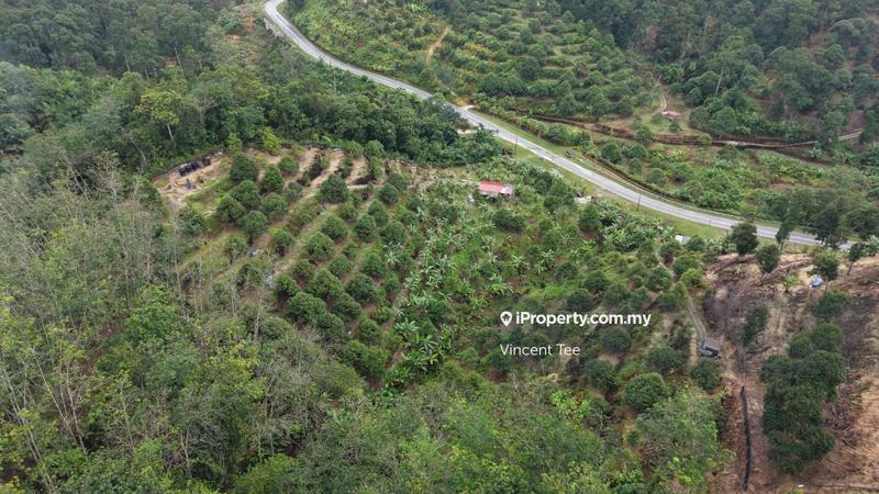 Agricultural Land for Sale in Taman Titi, Titi by Vincent Tee - iProperty.com.my
