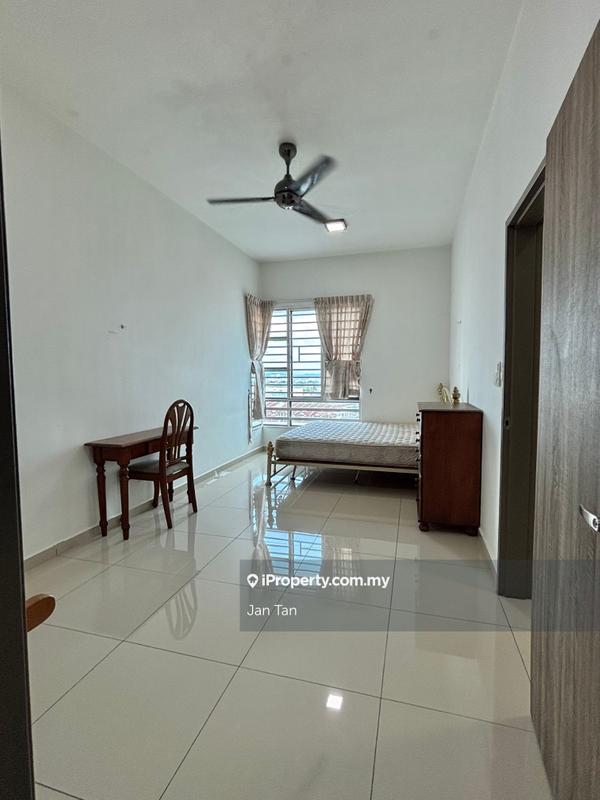 For Sale - Tree Sparina