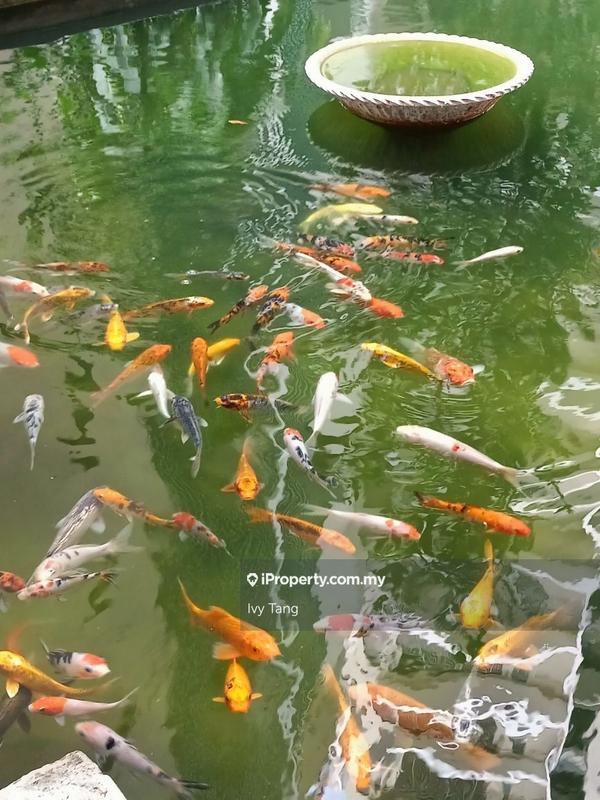 Condominium for Rent in Upper East @ Tiger Lane by Ivy Tang - iProperty.com.my