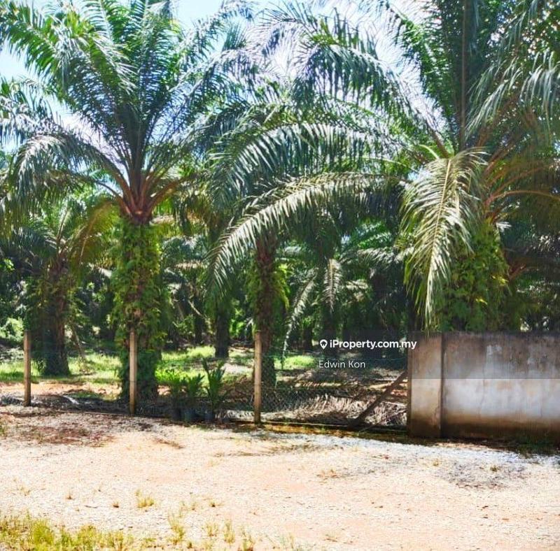 Tanah Pertanian untuk Dijual di Taman Gua Musang, Gua Musang oleh Edwin Kon - iProperty.com.my