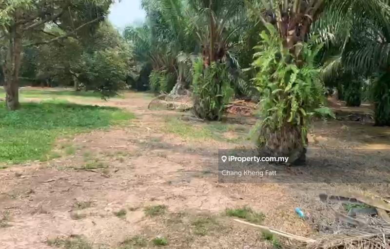 Tanah Pertanian untuk Dijual di Tanjung Sepat, Tanjong Sepat oleh Chang Kheng Fatt - iProperty.com.my