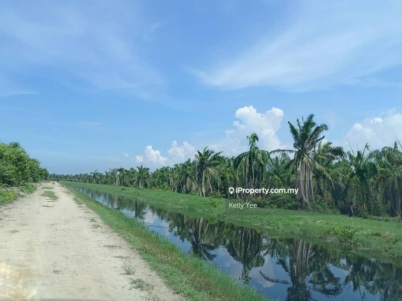 Tanah Pertanian untuk Dijual di Nibong Tebal, Penang oleh Kelly Yee - iProperty.com.my