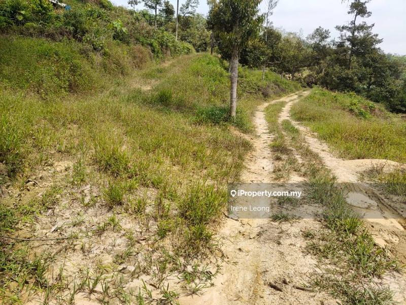 Agricultural Land for Sale in Karak, Pahang by Irene Leong - iProperty.com.my