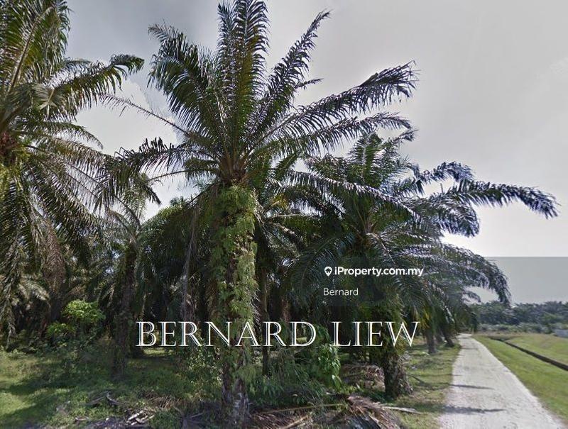 Agricultural Land for Sale in Bukit Panchor, Nibong Tebal by Bernard - iProperty.com.my