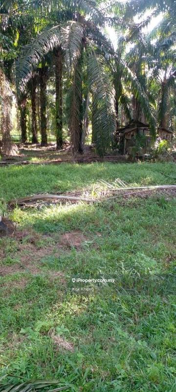 Agricultural Land for Sale in Taman Melaka Pindah, Alor Gajah by Kok Kheng - iProperty.com.my